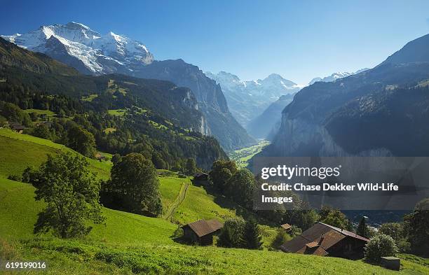 lauterbrunnen valley - alpine chalet stock pictures, royalty-free photos & images