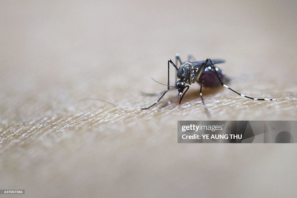 MYANMAR-ZIKA-VIRUS-HEALTH