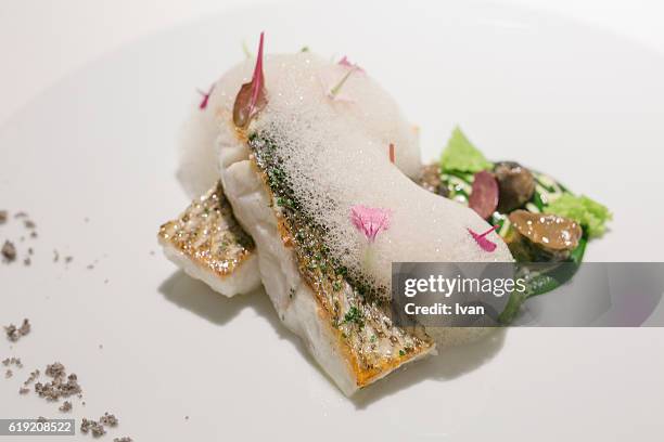 luxury molecular gastronomy, cooked european sea bass with vegetable foams and bubbles sauce - molecular gastronomy stock pictures, royalty-free photos & images