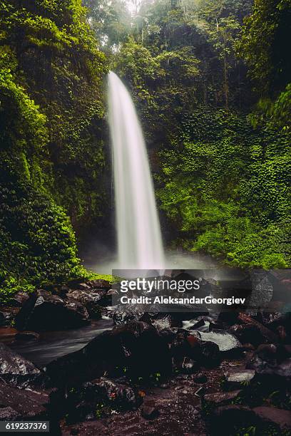 nungnung waterfall splashing in bali jungle, indonesia - bali waterfall stock pictures, royalty-free photos & images