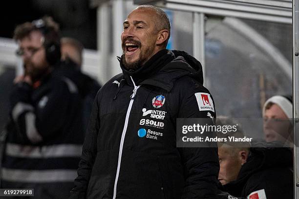 Henrik Larsson, head coach of Helsingborgs IF gives instuctions during the Allsvenskan match between Falkenbergs FF and Helsingborgs IF at...