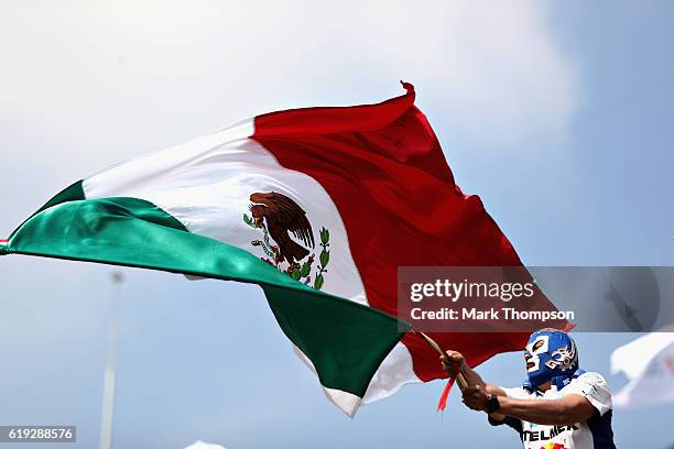 Fan waves a Mexico flag in the grandstand before the Formula One Grand Prix of Mexico at Autodromo Hermanos Rodriguez on October 30, 2016 in Mexico...