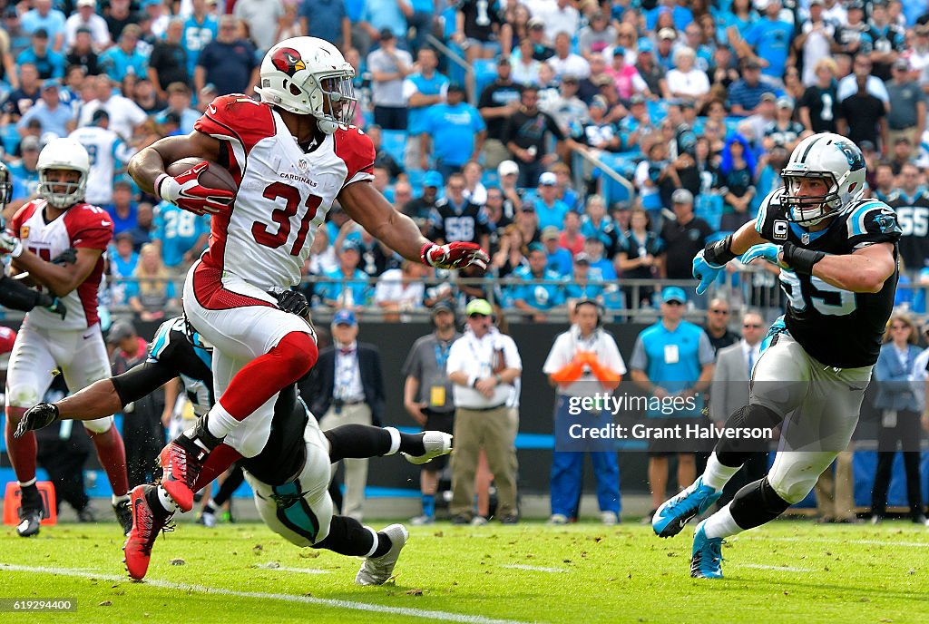 Arizona Cardinals v Carolina Panthers