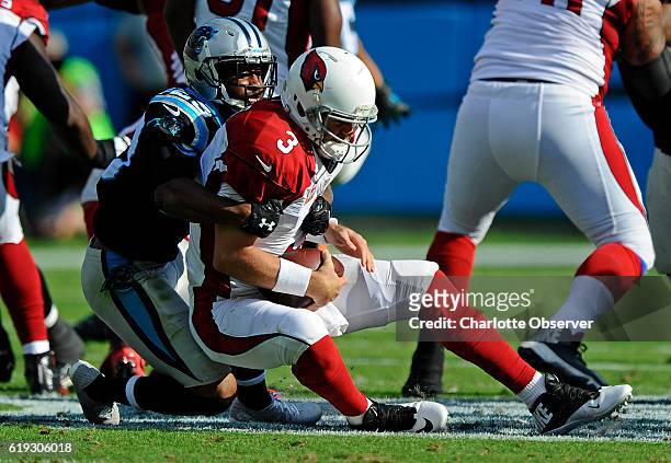 Carolina Panthers defensive back Leonard Johnson sacks Arizona Cardinals quarterback Carson Palmer in the second half on Sunday, Oct. 30, 2016 at...