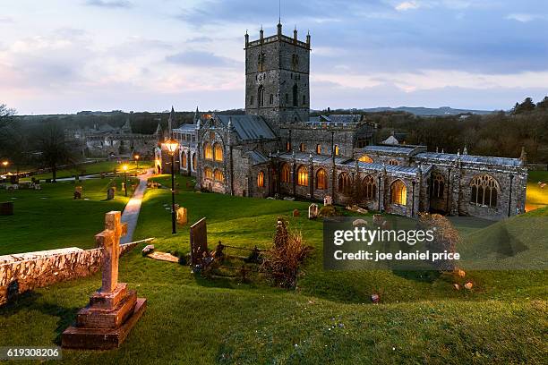 st david's cathedral, blue hour, pembrokeshire, wales - pembrokeshire bildbanksfoton och bilder