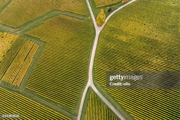 vue aérienne des vignes et de la fourche dans la route - fourche photos et images de collection