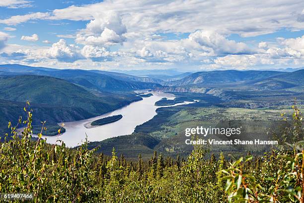 río yukón canadá - yukón fotografías e imágenes de stock