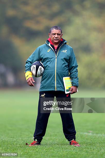 Springbok Coach Allister Coetzee looks on during a South Africa training session at the Lensbury Hotel on October 31, 2016 in London, England.