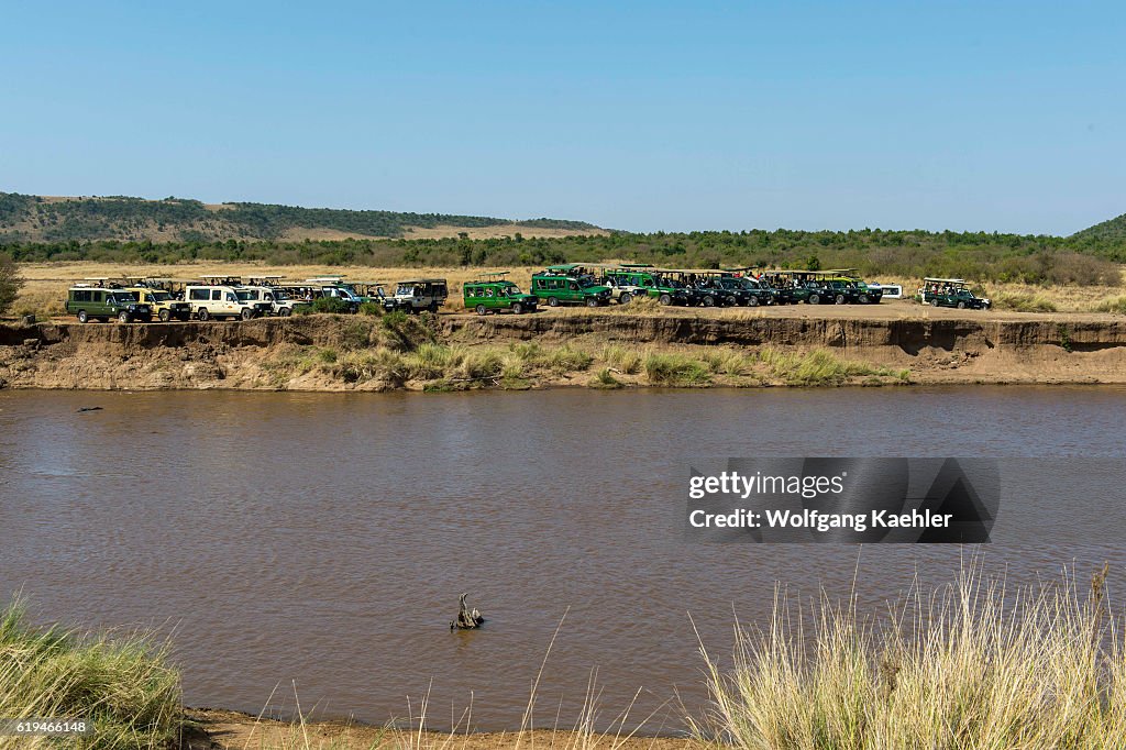 Tourists in safari vehicles waiting for the Wildebeests also...