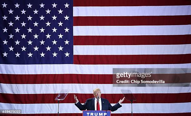 Republican presidential nominee Donald Trump addresses a campaign rally at the Deltaplex Arena October 31, 2016 in Grand Rapids, Michigan. With just...