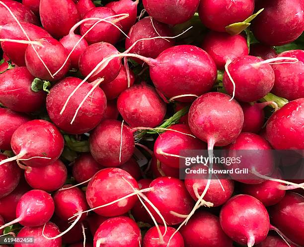 radishes - radijs stockfoto's en -beelden