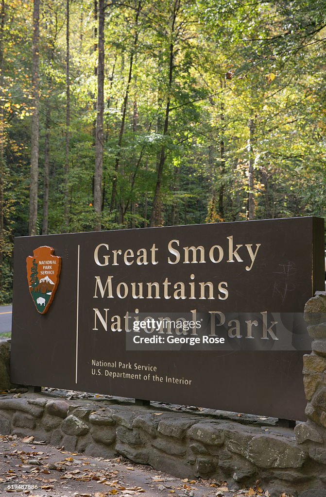 Touring Great Smoky Mountains National Park