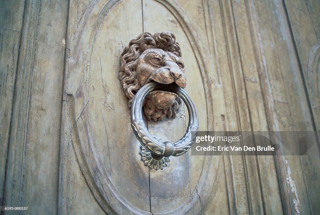 Lion Knocker On Door