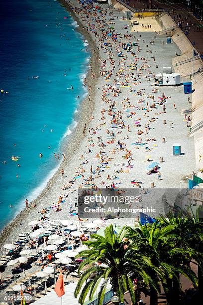 spiaggia di nizza francia - costa azzurra foto e immagini stock