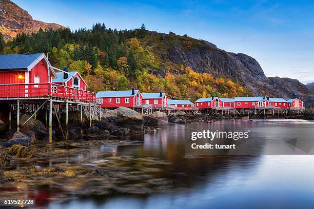 nusfjord village, lofoten, noruega - lofoten fotografías e imágenes de stock