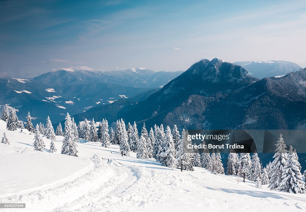Paysage hivernal