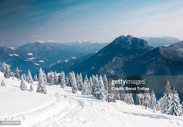 winter landscape - deep snow stockfoto's en -beelden
