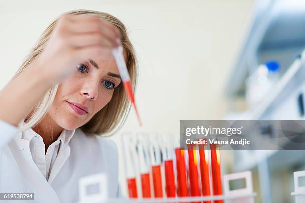 woman scientist working in laboratory - red tube 個照片及圖片檔