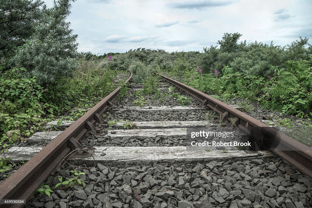 Abandoned railway tracks