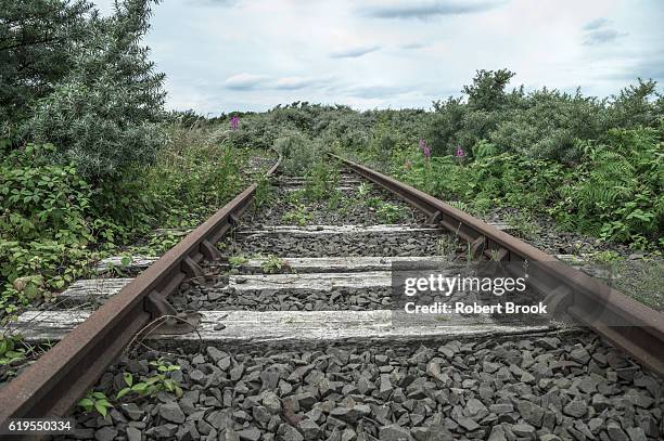 abandoned railway tracks - tramway stock pictures, royalty-free photos & images