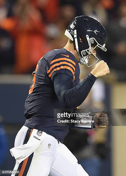 Jay Cutler of the Chicago Bears celebrates after a touchdown by Jordan Howard during the second quarter against the Minnesota Vikings at Soldier...