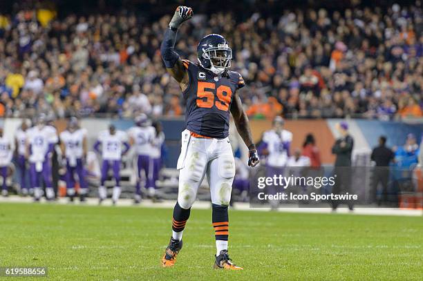 Chicago Bears Linebacker Danny Trevathan celebrates on defense in the 2nd quarter during an NFL football game between the Minnesota Vikings and the...