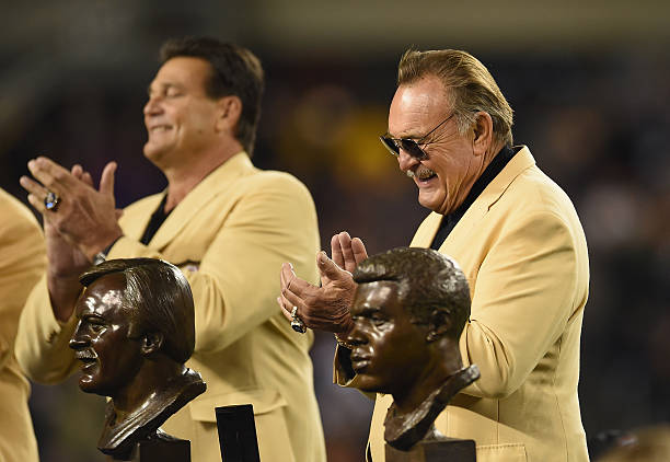Pro Football Hall of Famer Dick Butkus is honored at halftime during the game between the Minnesota Vikings and Chicago Bears at Soldier Stadium...