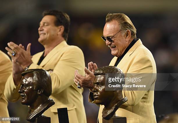 Pro Football Hall of Fame member Dick Butkus is honored at halftime during the game between the Minnesota Vikings and the Chicago Bears at Soldier...