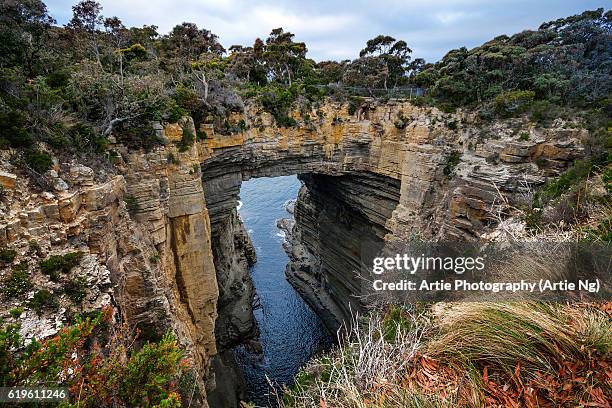 tasman arch and littoral chasm in tasman national park, tasman peninsula, tasmania, australia - tasman stock pictures, royalty-free photos & images