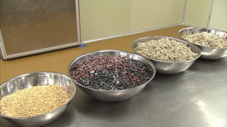 Grain Rice Cake 199 Korean Rice Cake Stock Videos, Footage, & 4K Video Clips - Getty Images
