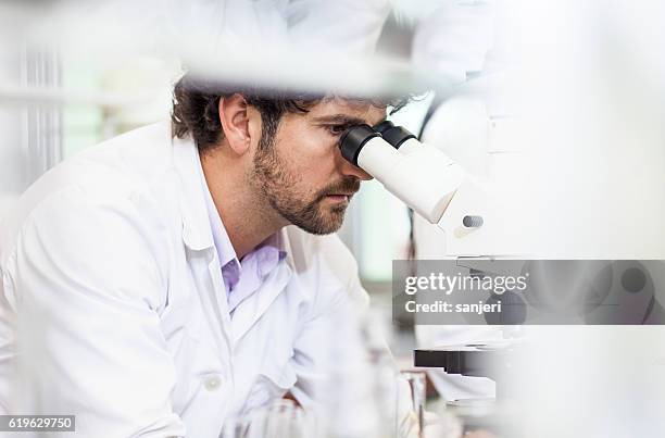 scientist using a microscope - cancer research institute stock pictures, royalty-free photos & images