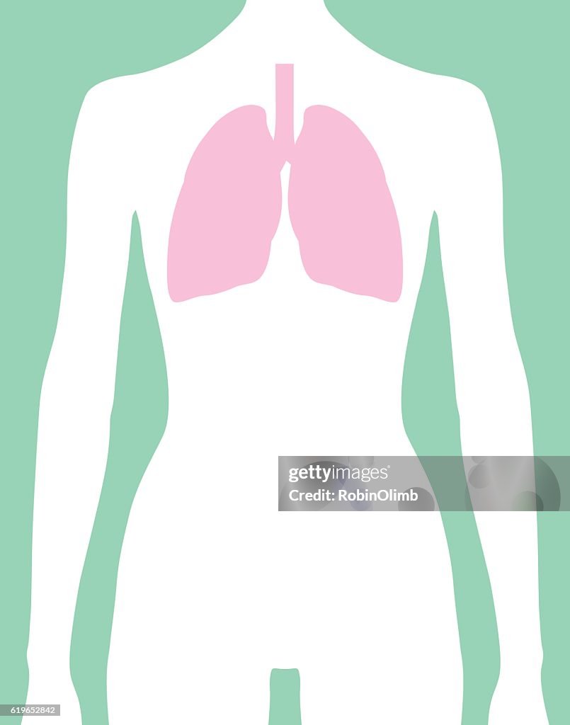 Female Lungs Body Icon