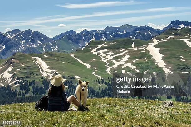 mountainside lunch spot with dog - silverton colorado foto e immagini stock