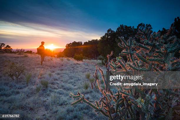 nature man dramatic landscape sunlight - sandia mountains stockfoto's en -beelden