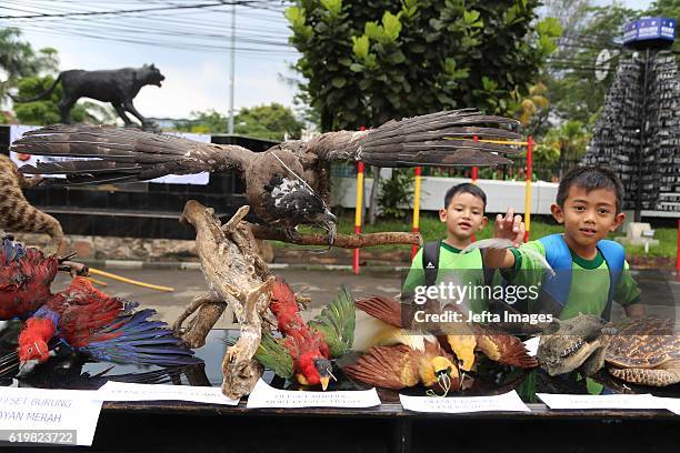 Two children take a look at stuffed Sumatran tigers, two Sun Bear, five bird of paradise, two peafowl, two-tailed Eagles Bronrok, Javan Gibon,...