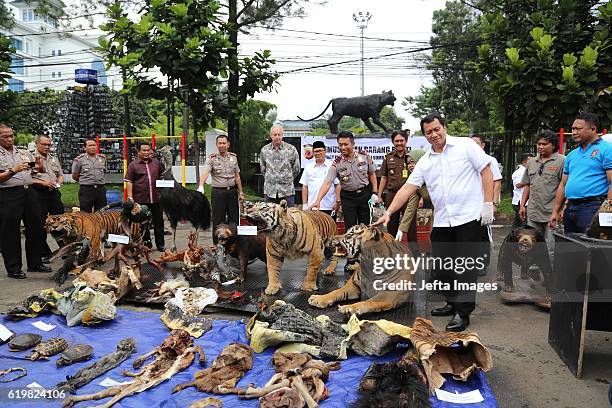 Indonesian police officers set fire a stockpile of Stuffed Sumatran tigers, two Sun Bear, five bird of paradise, two peafowl, two-tailed Eagles...