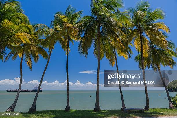 salvation islands - landscape - kourou stock pictures, royalty-free photos & images