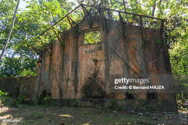 salvation islands - abandoned prison - kourou stock pictures, royalty-free photos & images