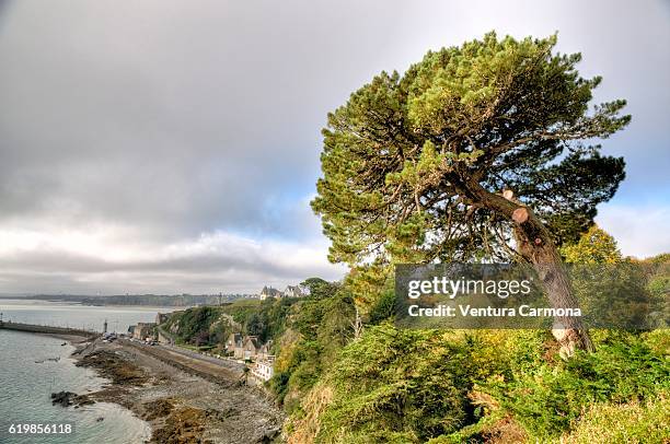 bay of cancale (brittany, france) - ille et vilaine - fotografias e filmes do acervo