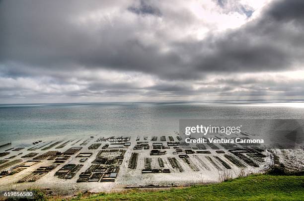 oyster farms in cancale (brittany, france) - cancale stock pictures, royalty-free photos & images