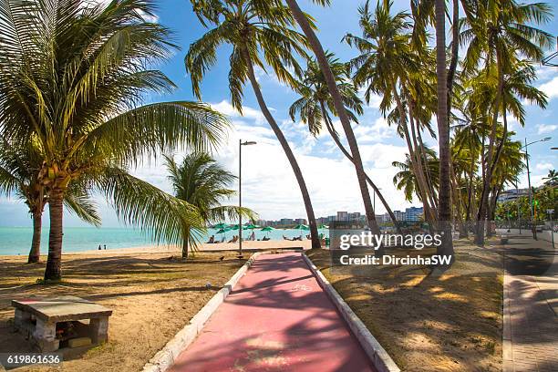 maceio - alagoas - brazil - maceió stock-fotos und bilder