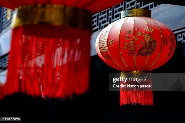 chinese lanterns - rislampa bildbanksfoton och bilder