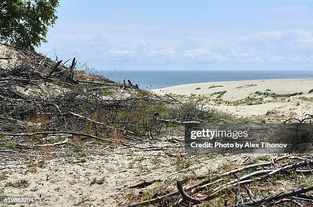 Sceronian Rocks Curonian Lagoon Photos and Premium High Res Pictures - Getty Images