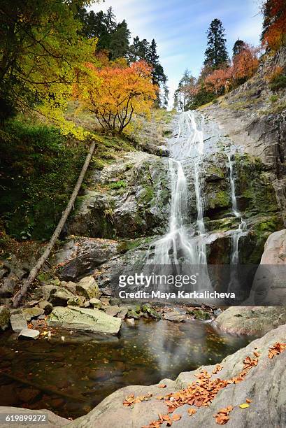 autumn trees surrounding a waterfall - plovdiv bulgaria stock pictures, royalty-free photos & images