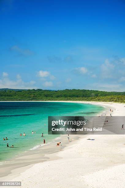 hyams beach - jervis bay stock pictures, royalty-free photos & images