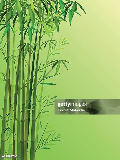 1 670点の竹イラスト素材 Getty Images 1 670点の竹イラスト素材 Getty Images