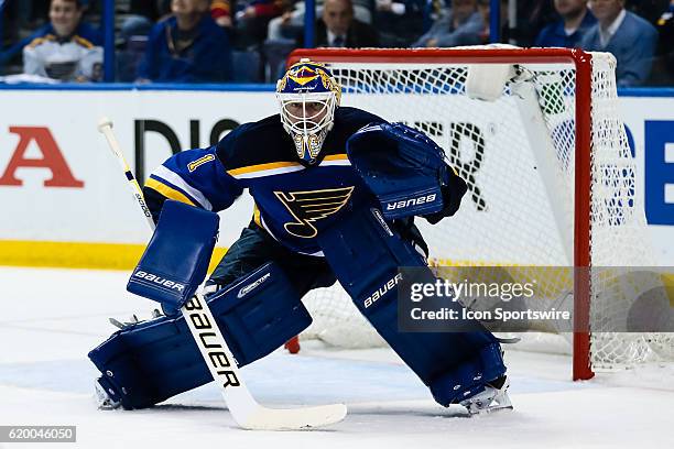 St. Louis Blues goalie Brian Elliott gets set for a shot during the second period of a NHL Western Conference Round 2 - Game 3 Stanley Cup Playoff...