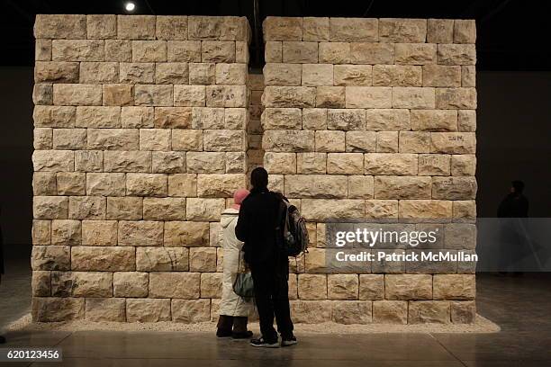 101 Michal Rovner Stock Photos, High-Res Pictures, and Images - Getty ...