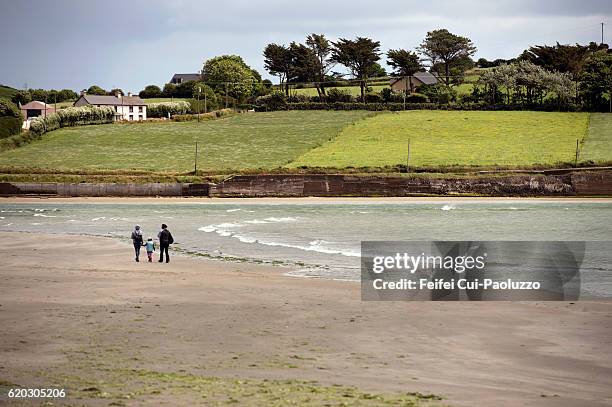 beach of harbor view in cork county in ireland - irish family stock-fotos und bilder