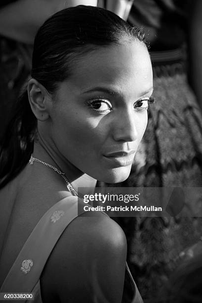 2,416 Selita Ebanks Photos Stock Photos, High-Res Pictures, And Images